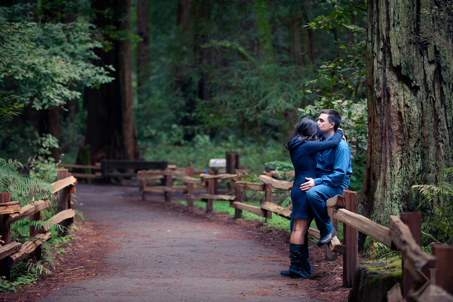 Muir Woods Engagement Photography