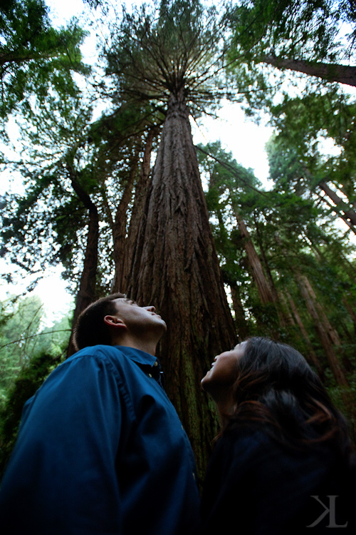 Muir Woods Wedding Photography