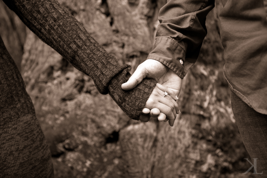 Muir Woods Wedding Photographer