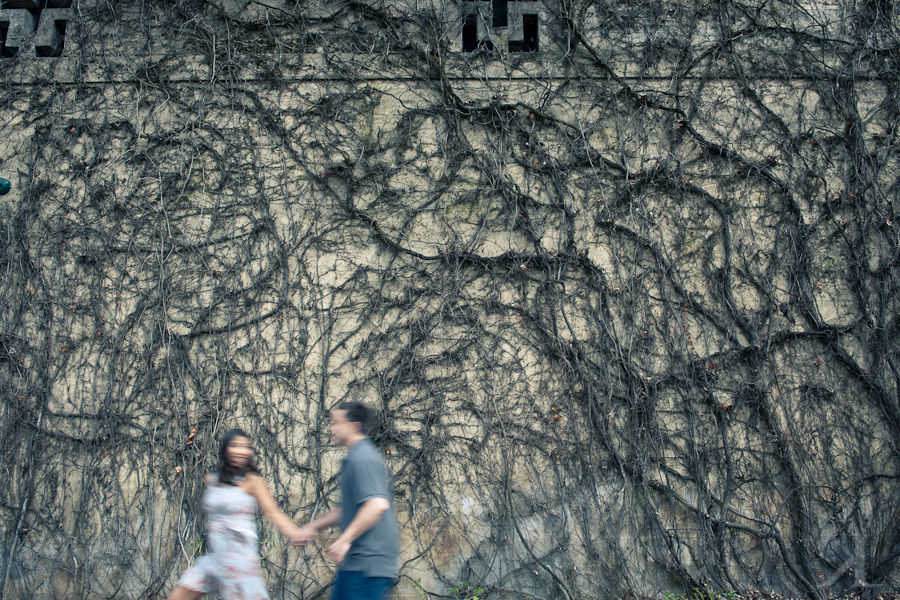 Napa Engagement Session