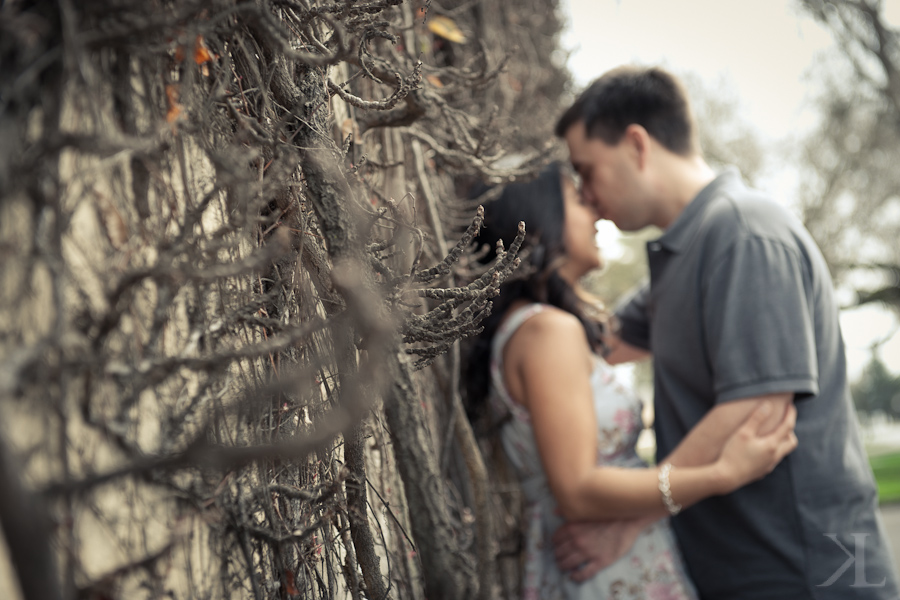 Napa Valley Engagement Session