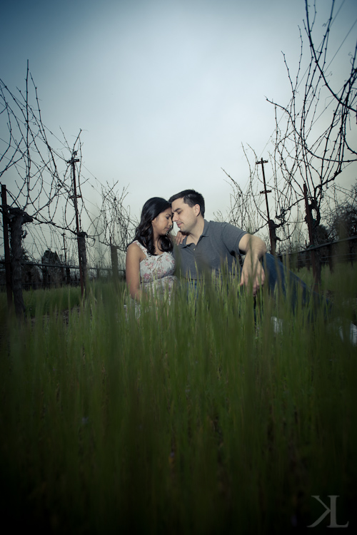 Napa Engagement Photographer