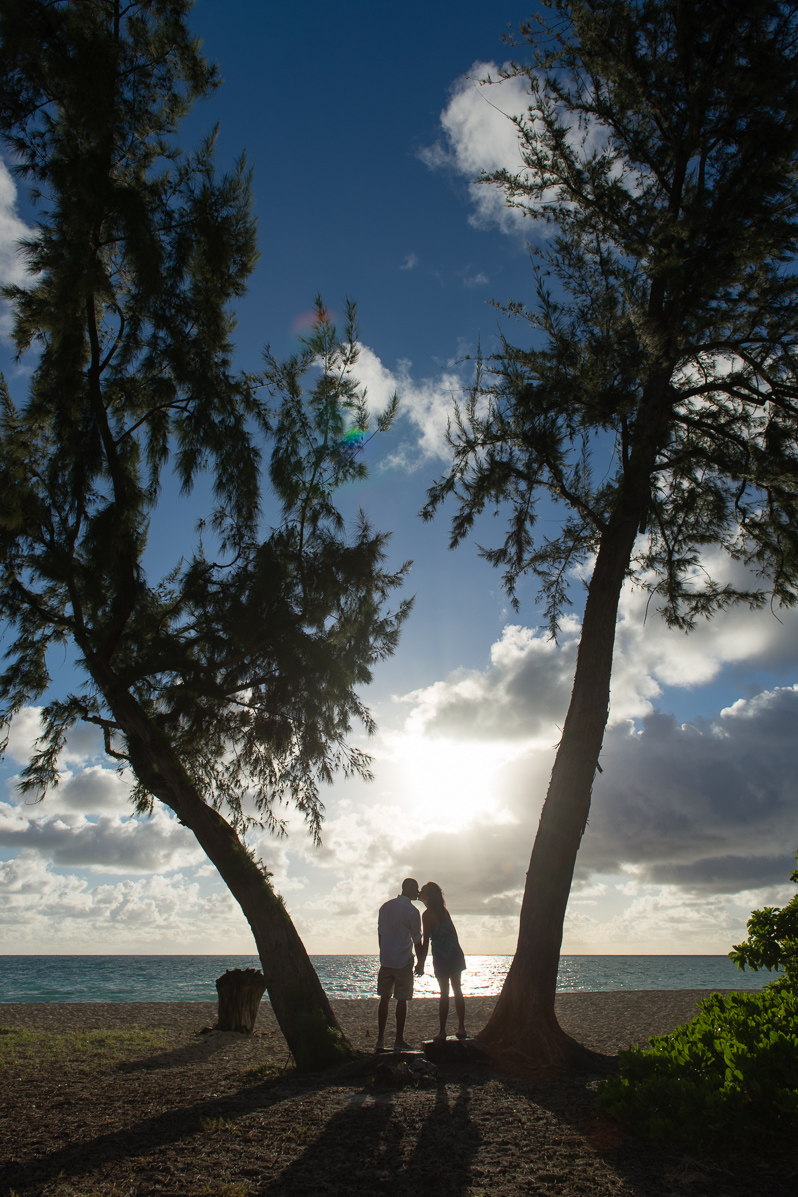 hawaii-marriage-proposal-01